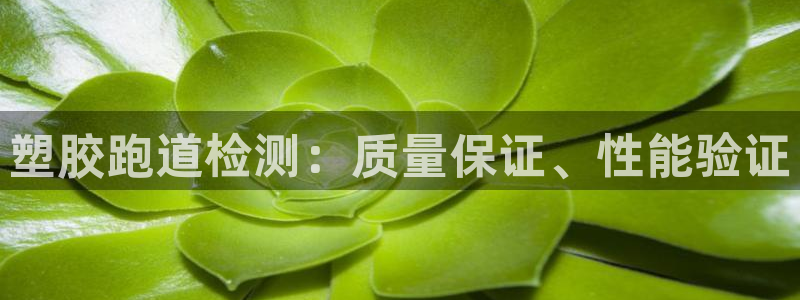 尊龙d88现金关注ag发财网：塑胶跑道检测：质量保证