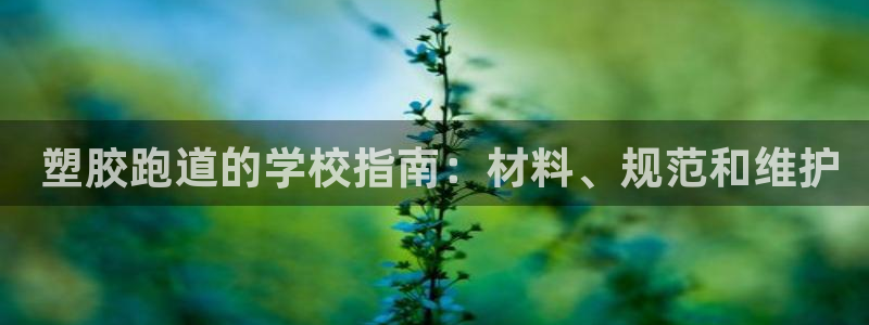 尊龙人生就是博一下阿扎尔： 塑胶跑道的学校指南：材料