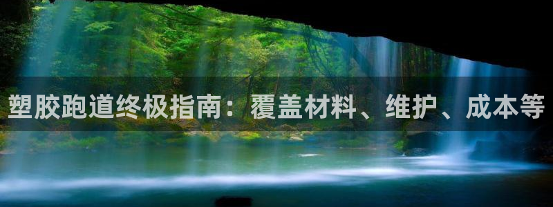 尊龙在线登录官网：塑胶跑道终极指南：覆盖材料、维护、成本等