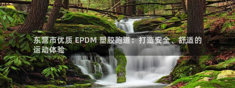 尊龙人生就是博现金：东营市优质 EPDM 塑胶跑道：打造安全、舒适的
运动体验