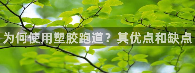 尊龙,人生就是搏：为何使用塑胶跑道？其优点和缺点