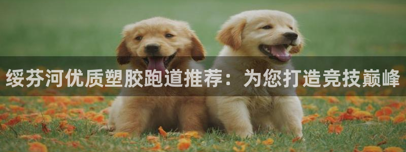 尊龙新版官网网页版：绥芬河优质塑胶跑道推荐：为您打造