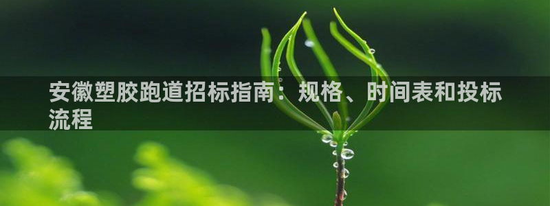 尊龙z6官网ag：安徽塑胶跑道招标指南：规格、时间表和投标
