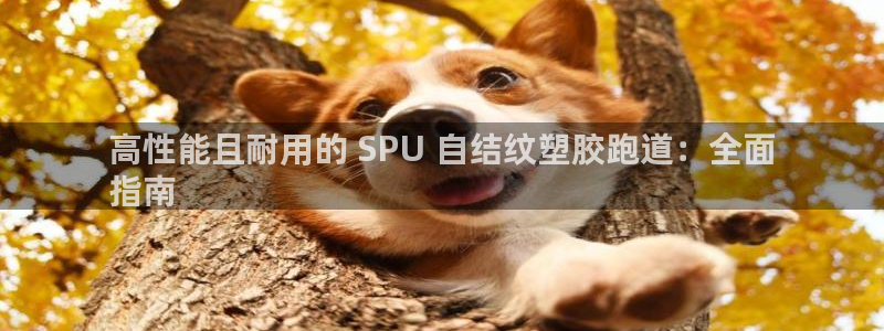 尊龙下载推荐网站：高性能且耐用的 SPU 自结纹塑胶