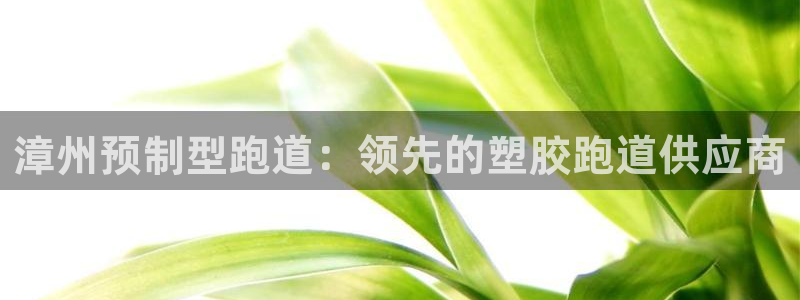 尊龙ag旗舰厅官网登录：漳州预制型跑道：领先的塑胶跑