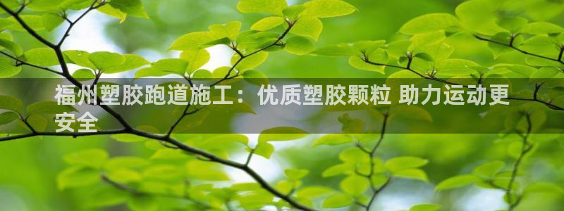 下载尊龙：福州塑胶跑道施工：优质塑胶颗粒 助力运动更
安全