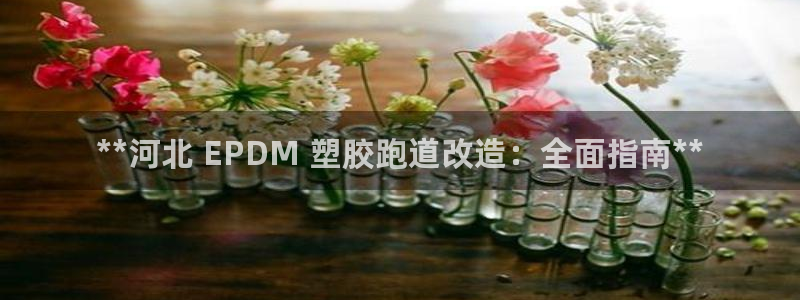 尊龙d88手机版下载：**河北 EPDM 塑胶跑道改造：全面指南**