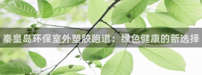 尊龙电子：秦皇岛环保室外塑胶跑道：绿色健康的新选择