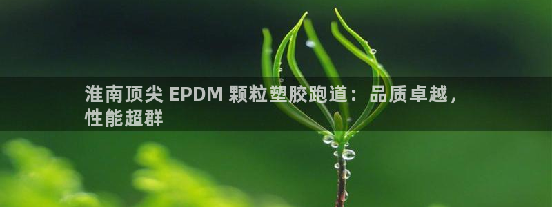 尊龙凯时网页版：淮南顶尖 EPDM 颗粒塑胶跑道：品