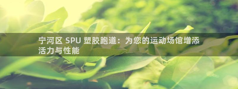 尊龙凯时平台官网：宁河区 SPU 塑胶跑道：为您的运