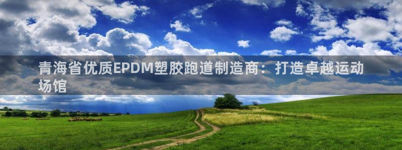 尊龙d88手机版下载：青海省优质EPDM塑胶跑道制造