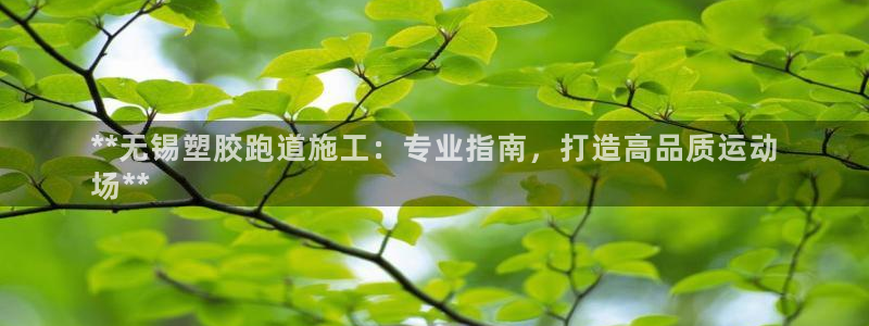 尊龙z6集团：**无锡塑胶跑道施工：专业指南，打造高品质运动
场**