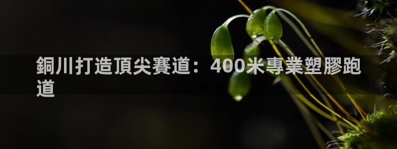 尊龙凯时ag旗舰厅：銅川打造頂尖賽道：400米專業塑膠跑
道